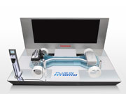 Honda Plug-in Platform