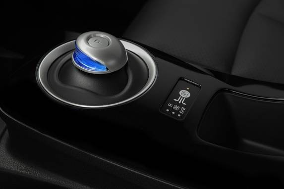 2013leaf_029-600-001