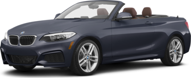 2 Series 230i Convertible 2D image