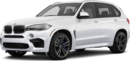 2017 BMW X5 M image