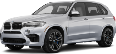 X5 M Sport Utility 4D image