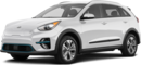 2019 Kia Niro EV image