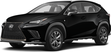 NX 300 Luxury Sport Utility 4D image