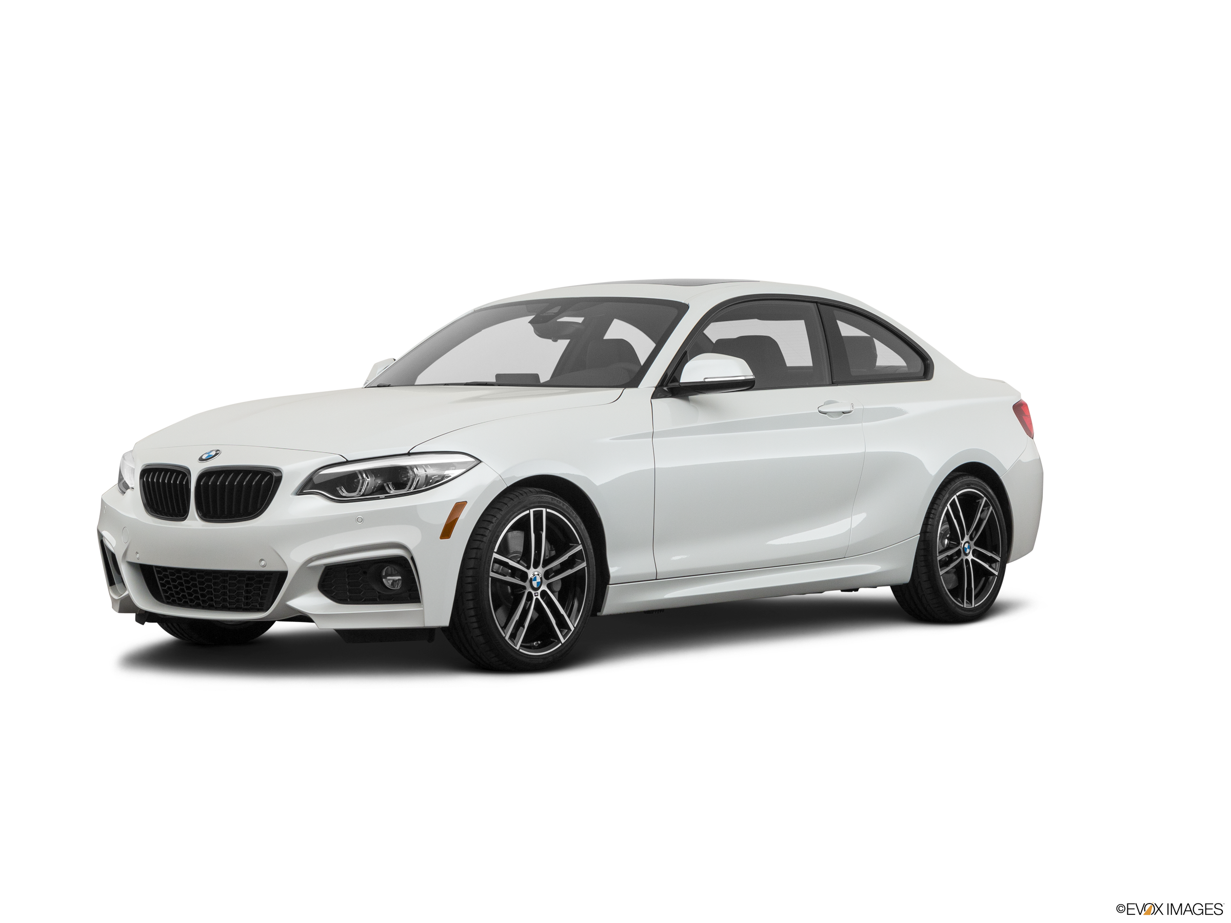 Evan-Fischer Front Bumper Retainer For BMW 230i, M240i 2017-2021 - Replaces 51128055968