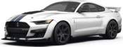 2022 Ford Mustang Exterior: 0
