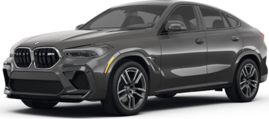 X6 M Sport Utility 4D image