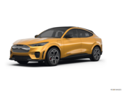 2022 Ford Mustang MACH-E Colors: 0