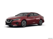 2023 Nissan Maxima Colors: 1