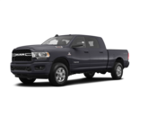 2024 Ram 3500 Mega Cab Colors: 0