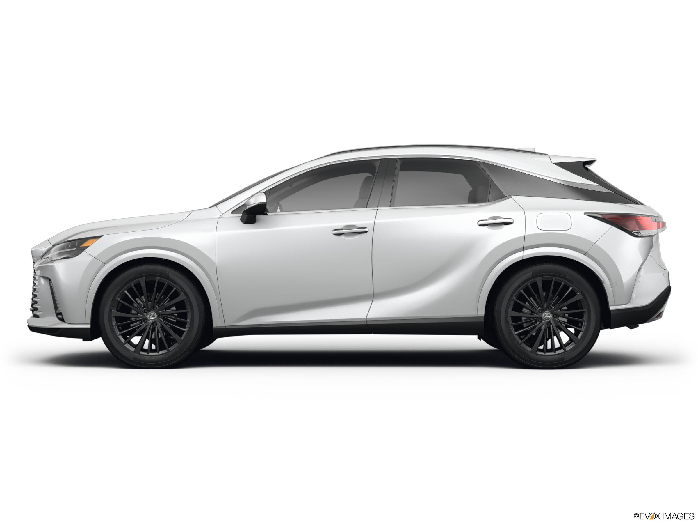 Lexus RX350 ホワイト Used White Lexus RX 350 near me for sale