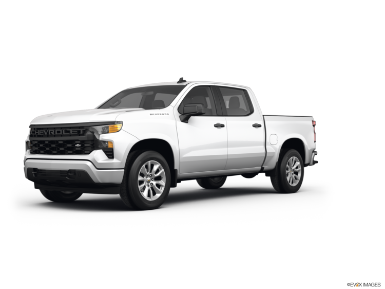 2022 Chevrolet Silverado 1500 Regular Cab Exterior: 1
