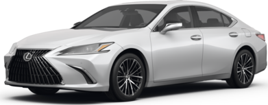 ES 250 Luxury image