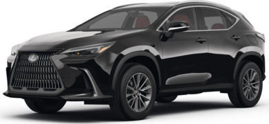 NX 350 image