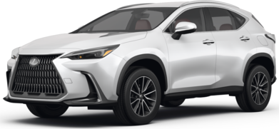 NX 250 Premium Sport Utility 4D image