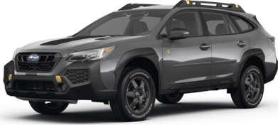 Outback Wilderness image