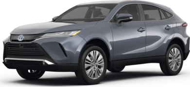 Venza LE Sport Utility 4D image