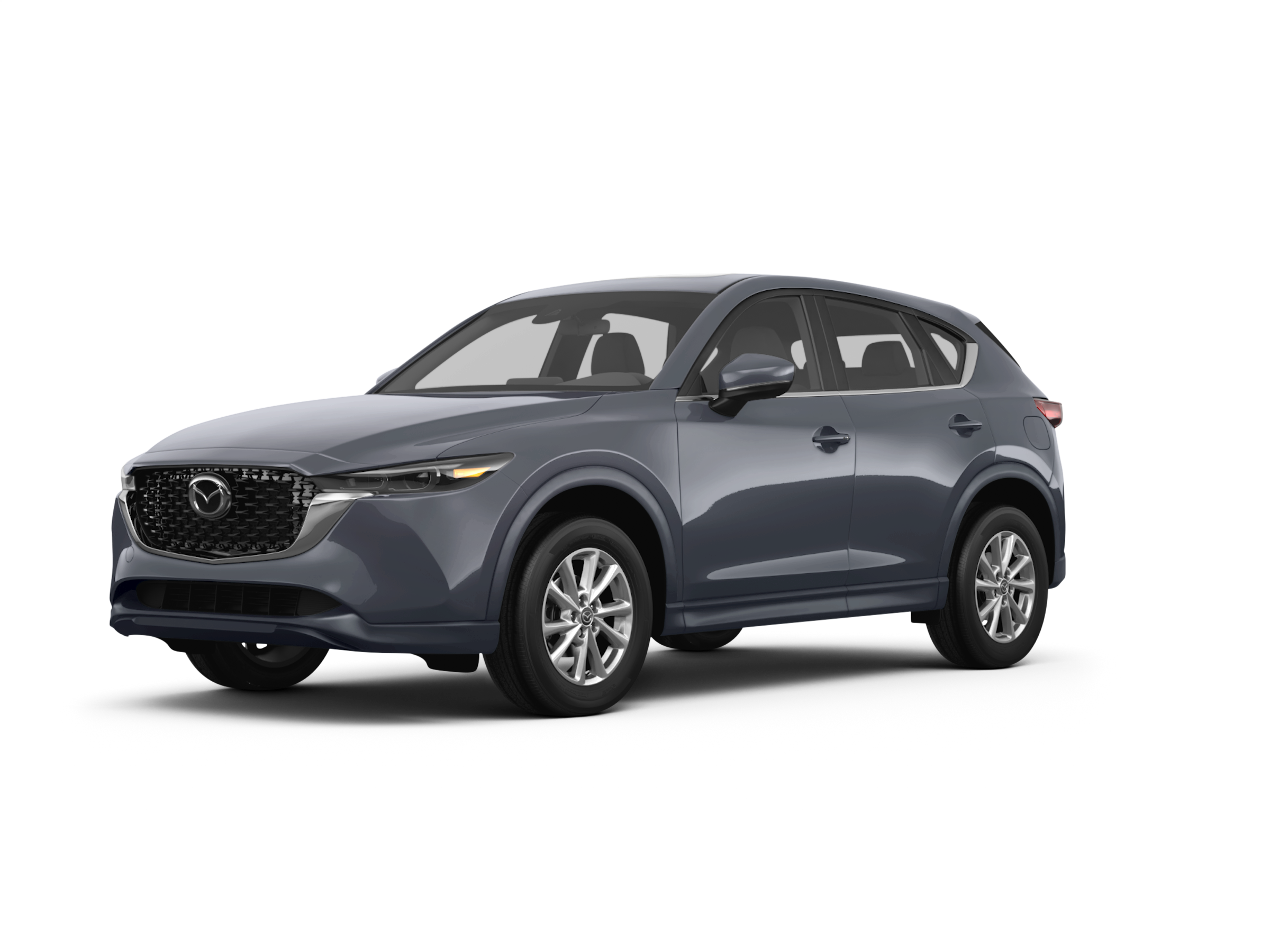 DESIGNOBAUM BOFU 55 クリスタルチャート　+ソフトハニタス2個 Echeveria Pulvinata 'Frosty' · Bumble Plants