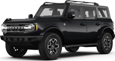 Bronco Everglades image