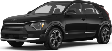 Niro SX image