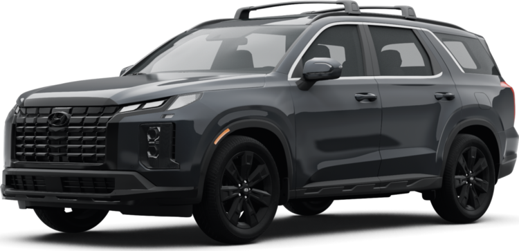 2024 Hyundai Palisade Exterior: 0