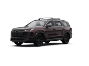 2024 Hyundai Palisade Colors: 0