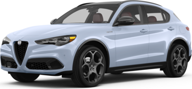 Stelvio Competizione image