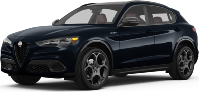 Stelvio Competizione image