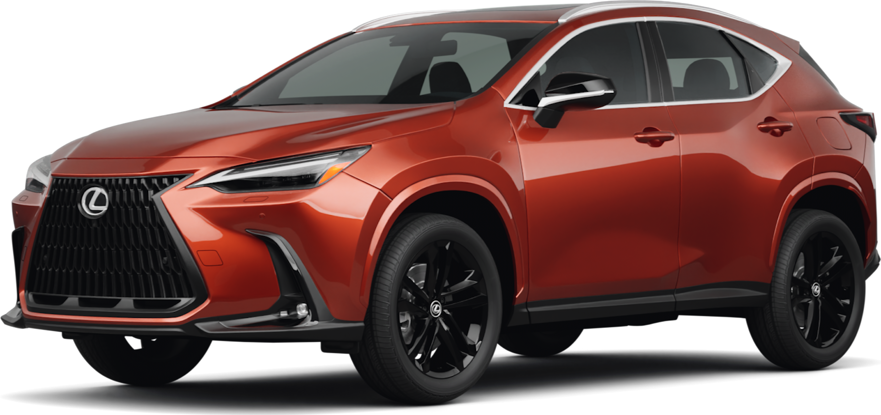 2024 Lexus NX image