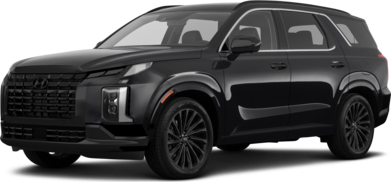 Palisade Calligraphy Night Edition image