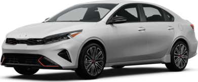 Forte GT image