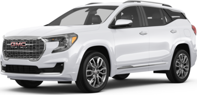 Terrain Denali image