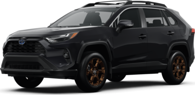 RAV4 Hybrid Woodland Edition image