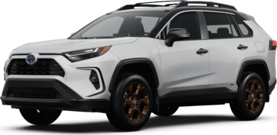 RAV4 Hybrid Woodland Edition image