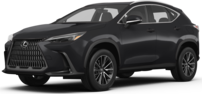 2025 Lexus NX photo