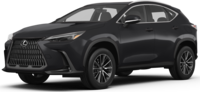 2026 Lexus NX image