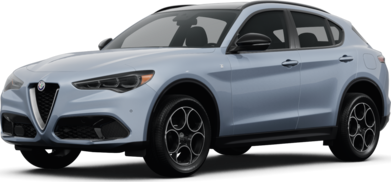 Stelvio Ti image