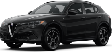 Stelvio Ti image