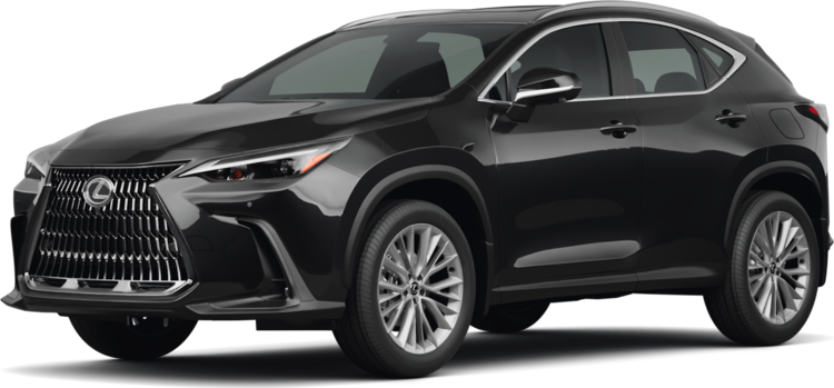 2025 Lexus NX Exterior: 0