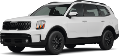 Telluride SX-Prestige image