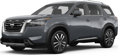 Pathfinder Platinum image