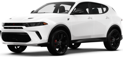 Hornet R/T Plus image
