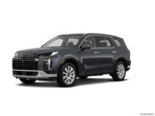 2025 Hyundai Palisade Colors: 0