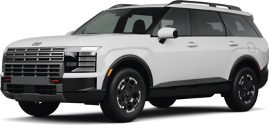 Palisade XRT PRO image