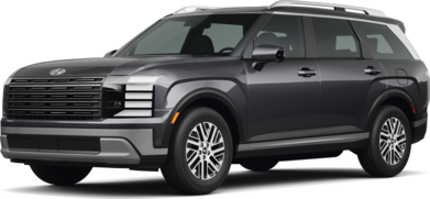 Palisade Limited image