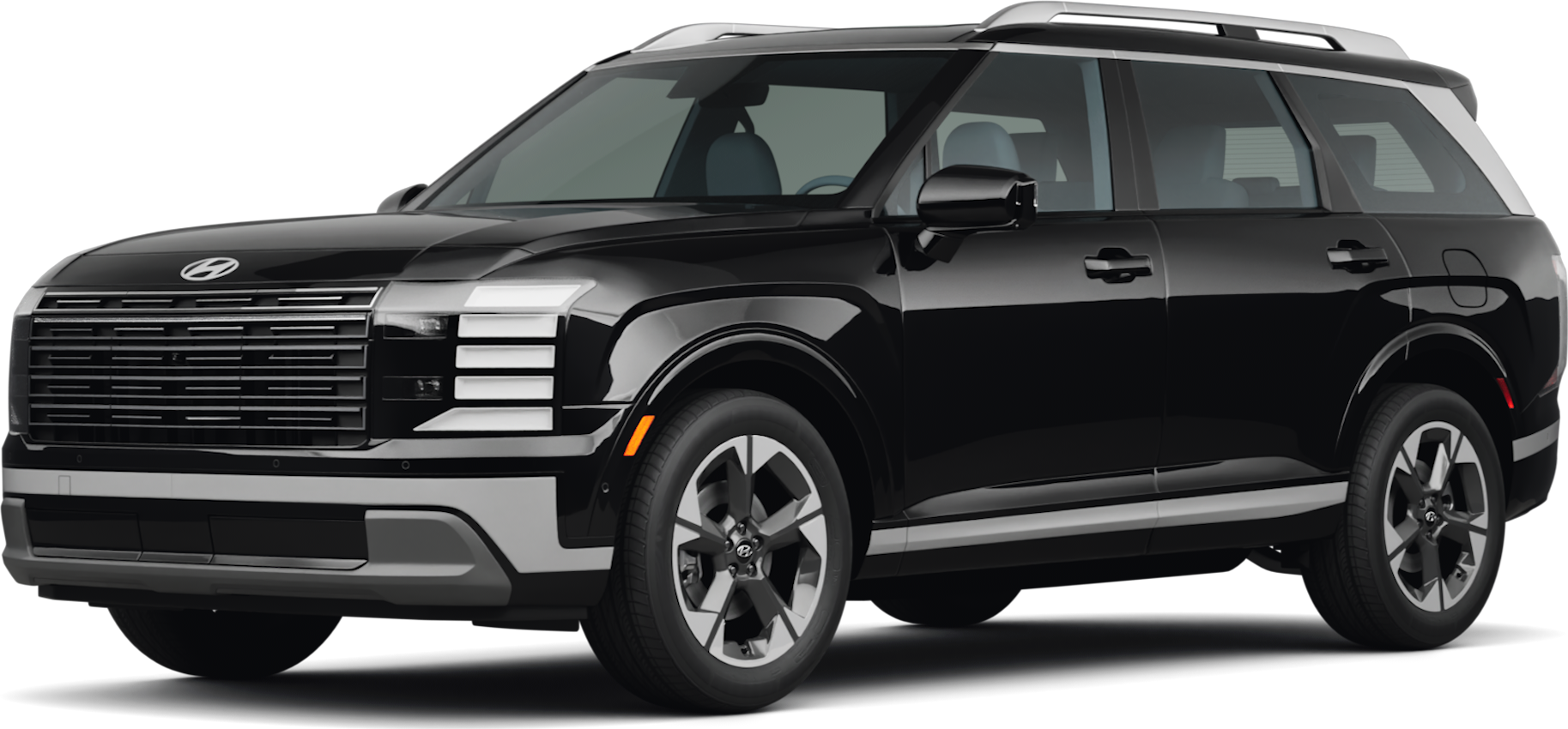 Palisade Hybrid Limited image