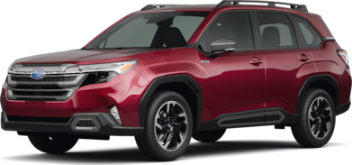 Forester Hybrid Limited image