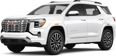 Terrain Denali image