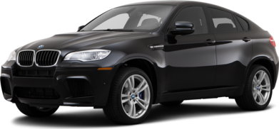 X6 M Sport Utility 4D image