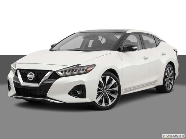 2019 platinum maxima