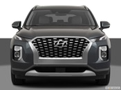 2020 Hyundai Palisade Exterior: 1